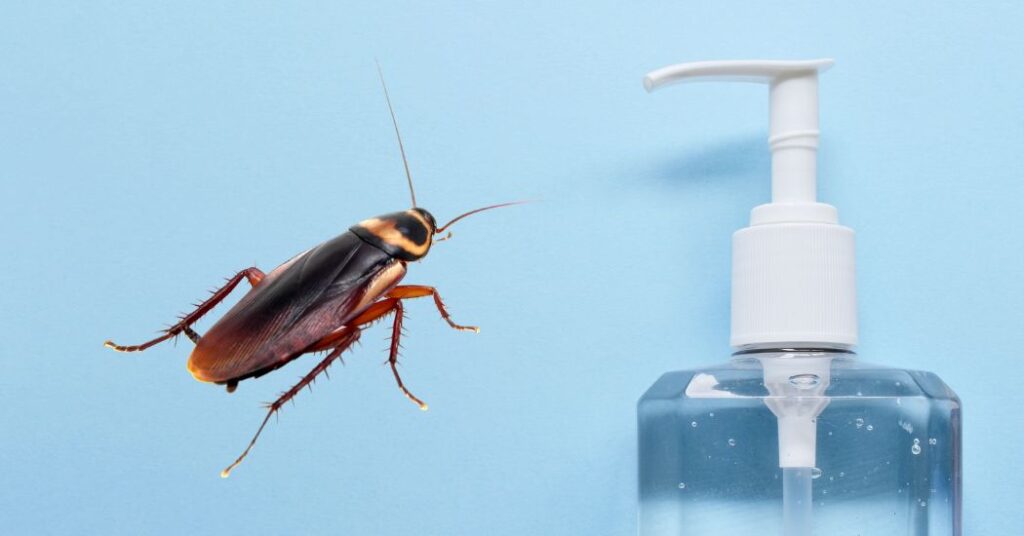 Does Hand Sanitizer Kill Roaches