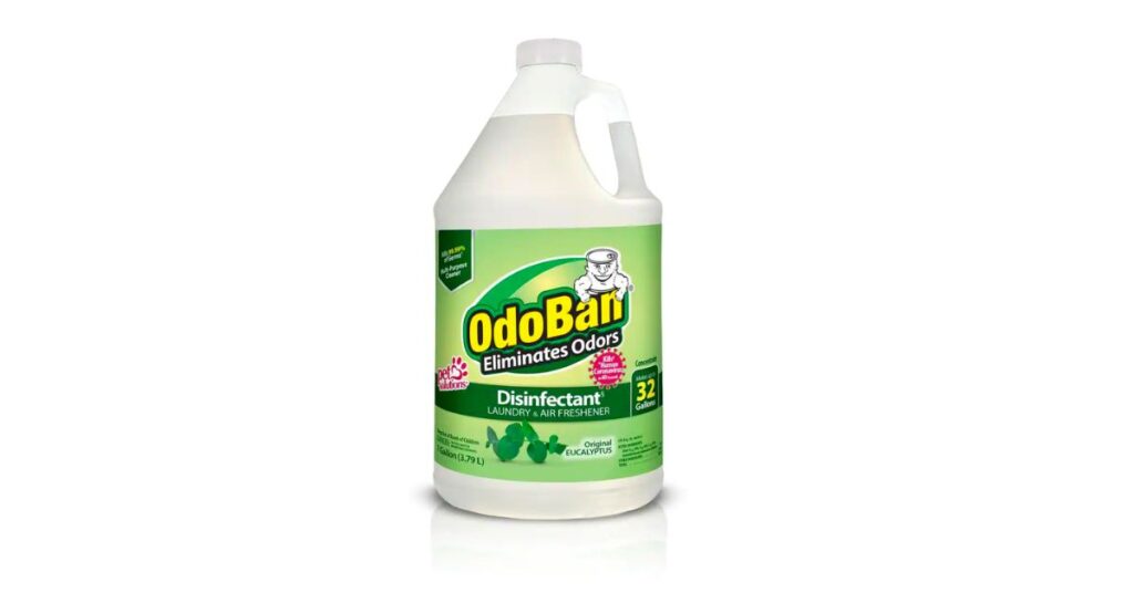 Clearing the Air Does Odoban Have Ammonia in It?