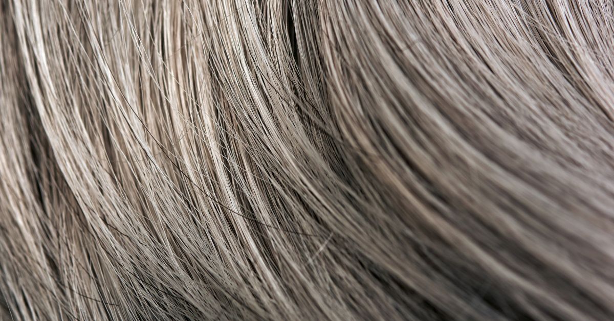 Permanent Hair Color Cover Gray at Corey Pollock blog