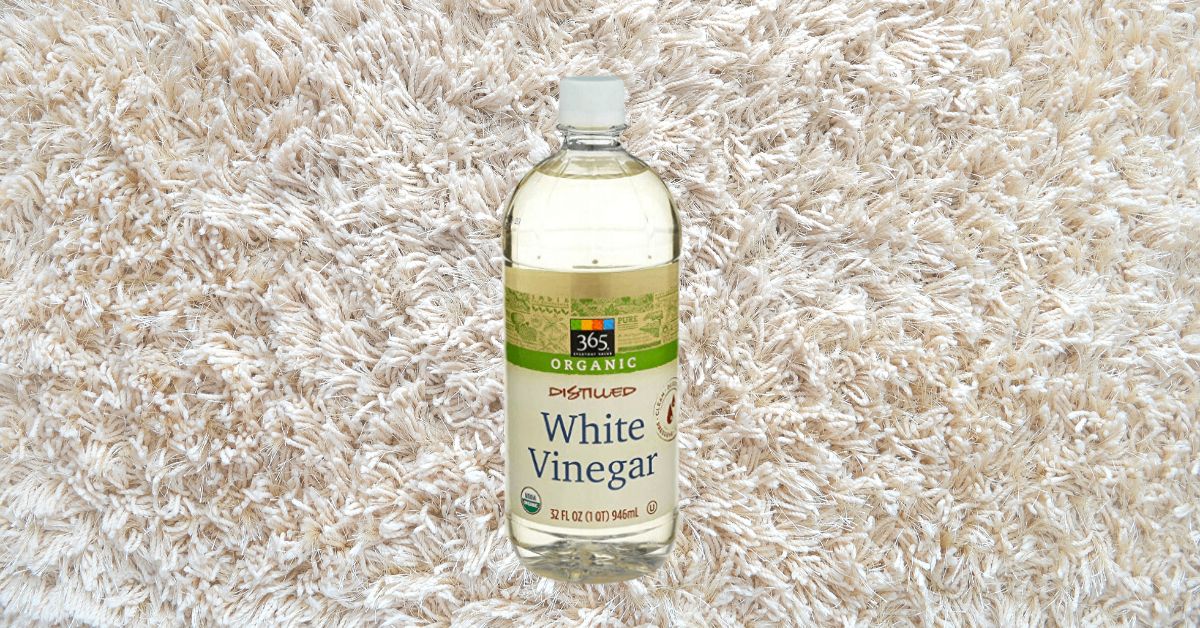 The Ultimate Guide Does White Vinegar Stain Carpet?