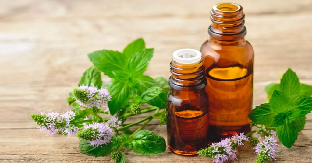 How Long Does Peppermint Oil Repel Ants