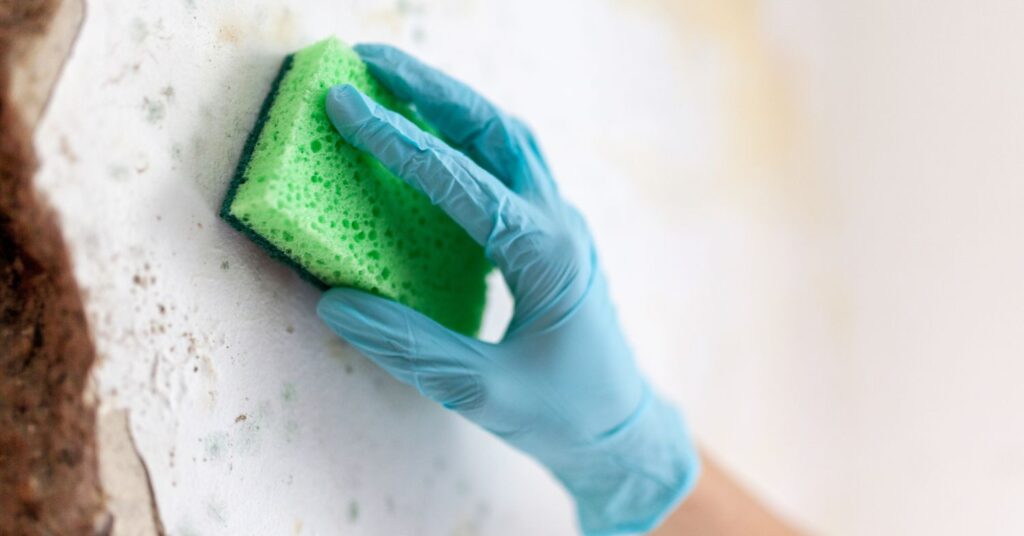 Is It Safe To Clean Mold Yourself