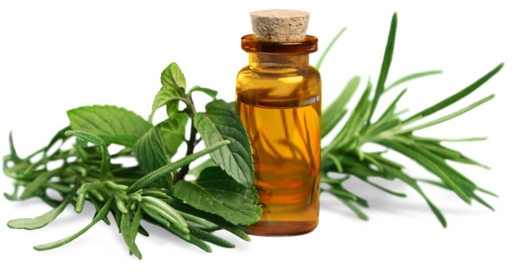 Is Rosemary Oil Good For Dyed Hair