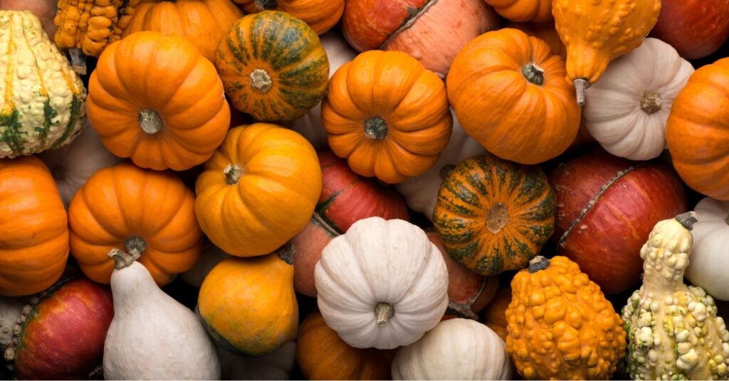 What Colors Do Pumpkins Come In