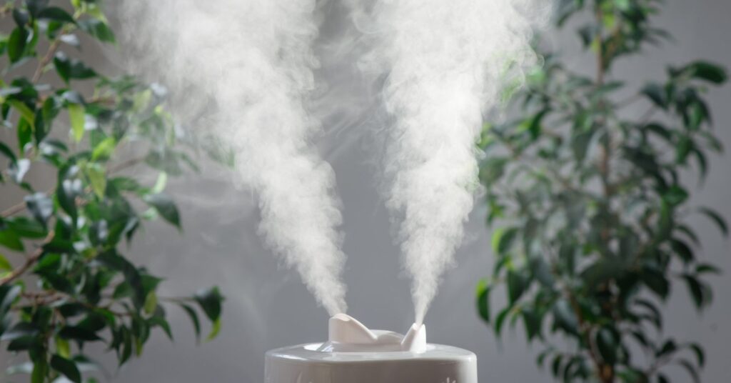 What Does A Humidifier Do For A Cold