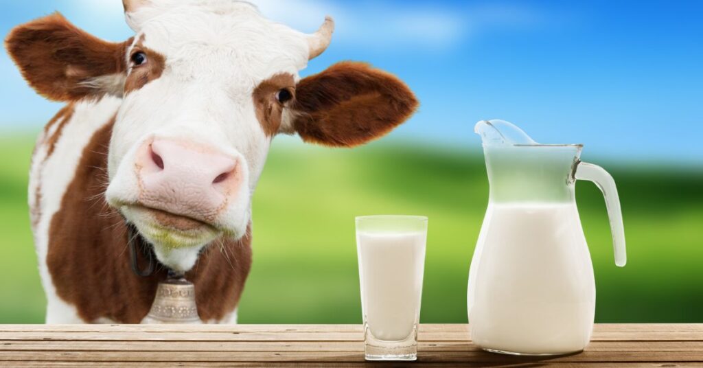 What Is Grass Milk