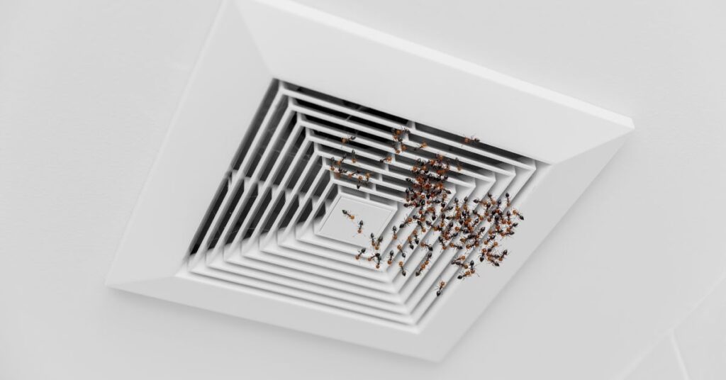 Ants Coming Out Of Vents In Ceiling