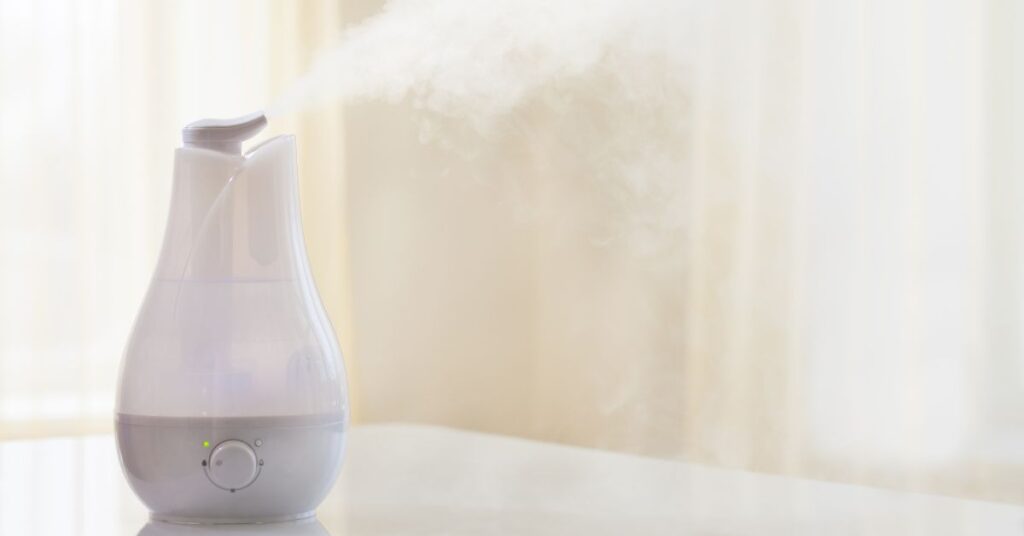 Does A Humidifier Help Keep House Warm