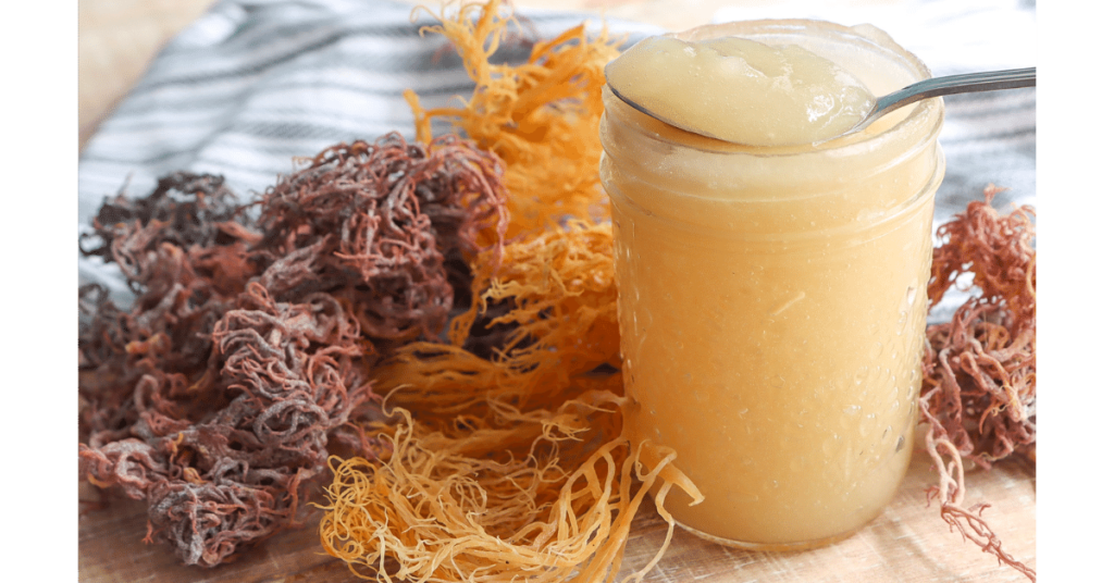 Does Sea Moss Get Rid Of Parasites