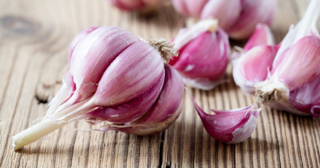 If Garlic Is Purple Is It Bad