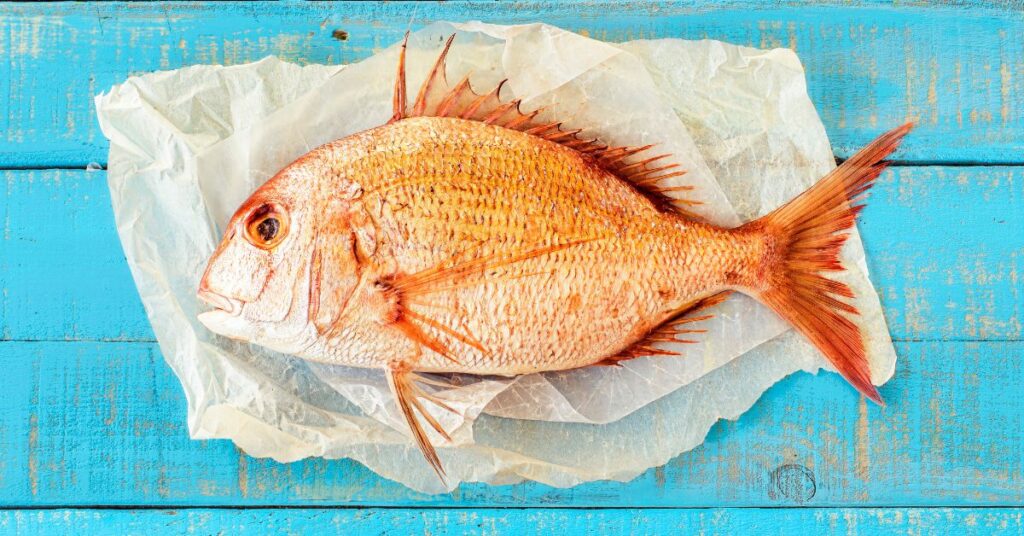 Is Porgy Fish Good To Eat