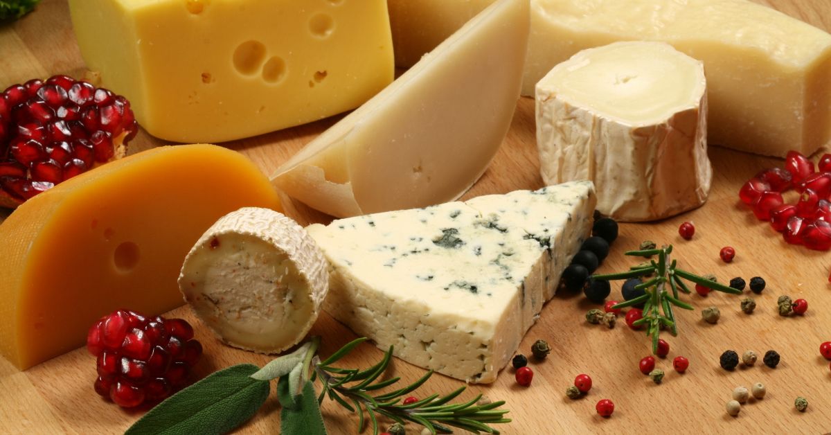 What Cheese Is Easiest To Digest 