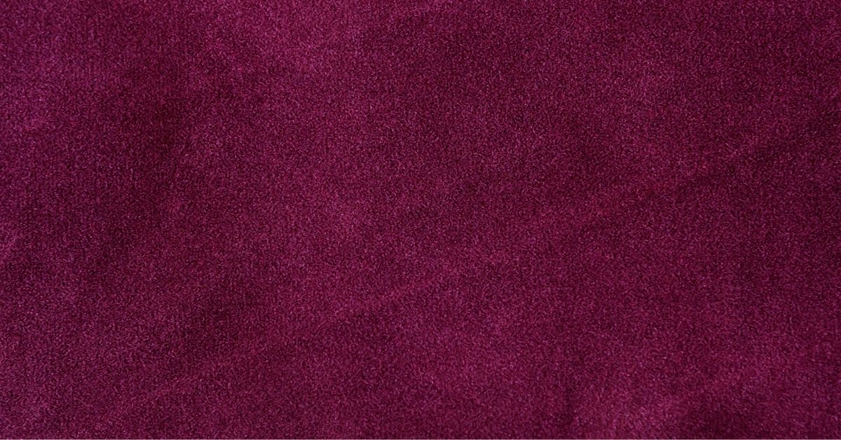 Does Velvet Attract Dog Hair? Velvet’s 鱗 Dog Owners' Guide