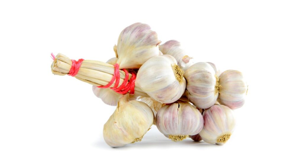 How Long Does Braided Garlic Last