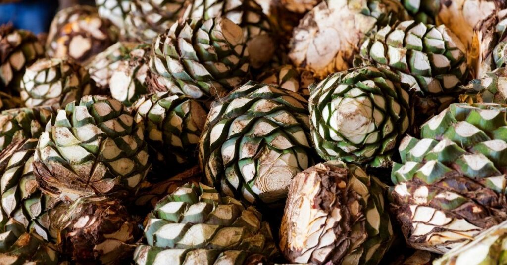 Is Agave Whole30