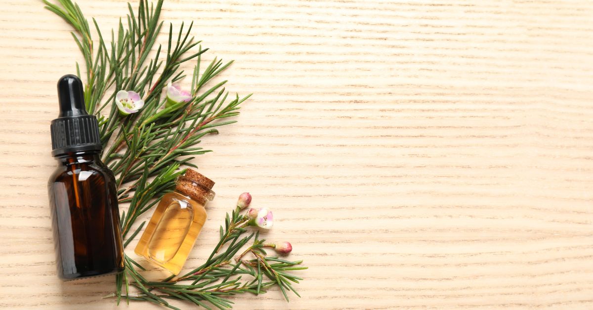 How to Dilute Tea Tree Oil