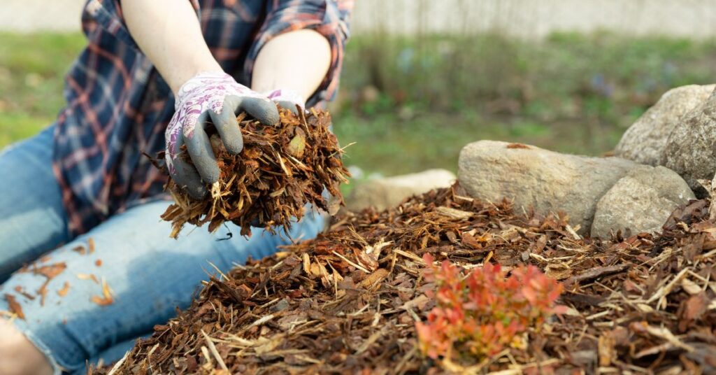 Does Mulch Have Manure In It