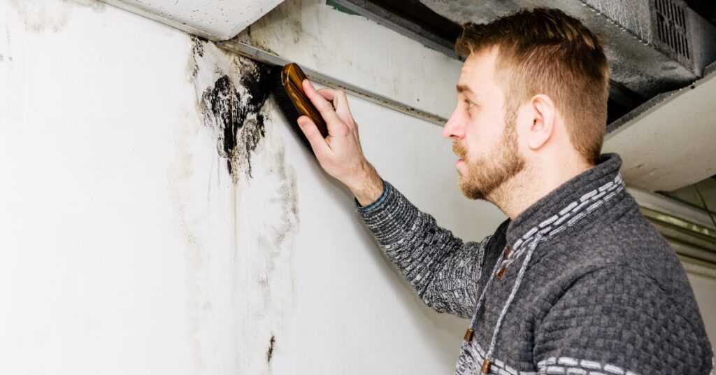 How Long Does It Take To Remove Black Mold