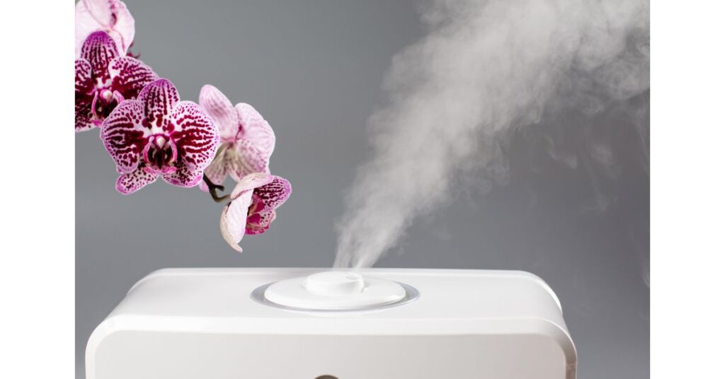 Is A Cool Mist Humidifier Good For Pneumonia