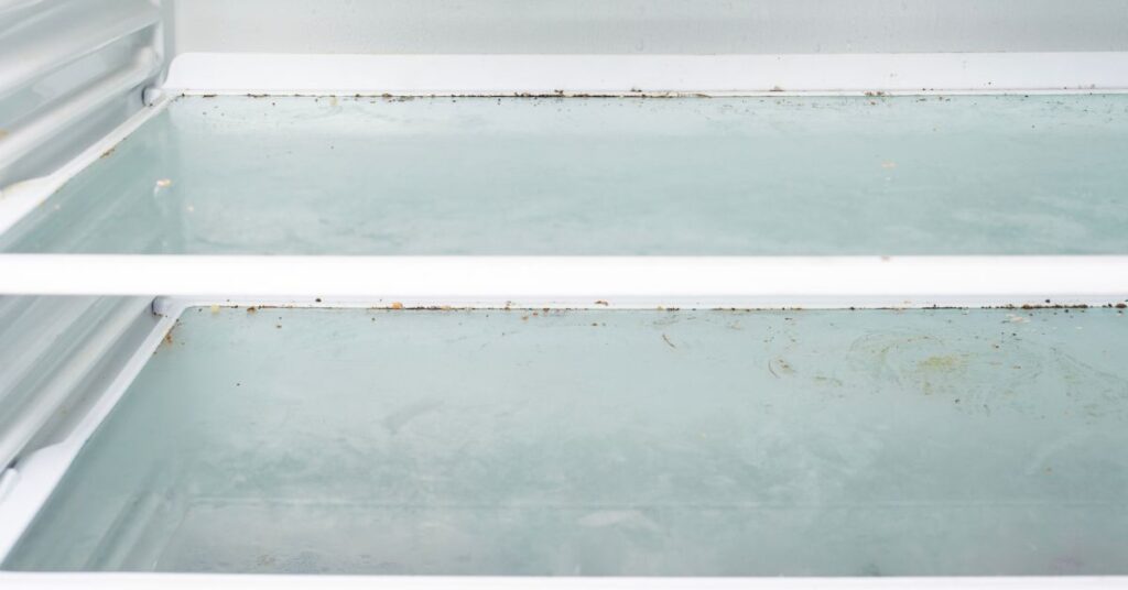 Is Black Mold In Freezer Dangerous