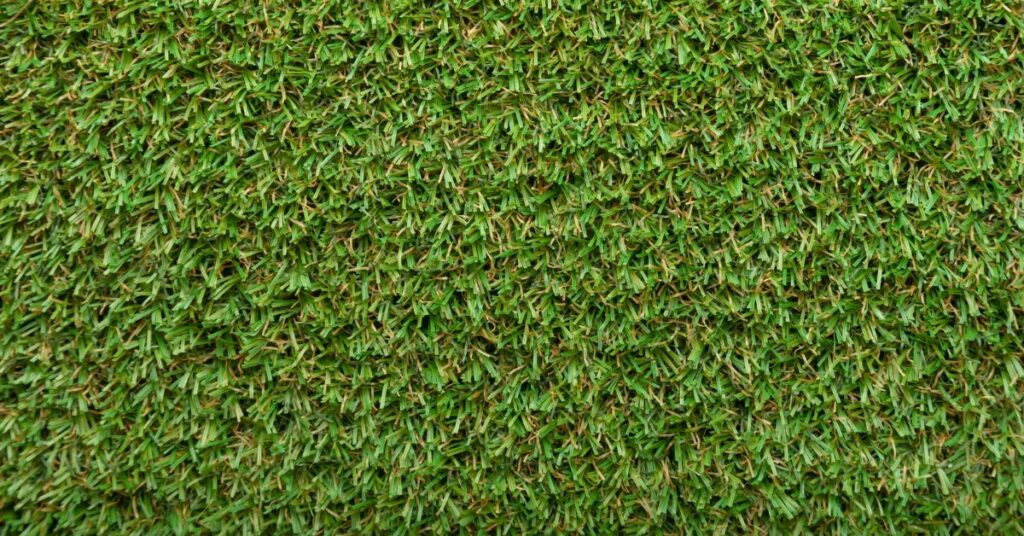 Does Bermuda Grass Die In The Winter