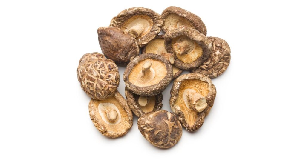 How Long Can You Keep Dried Mushrooms