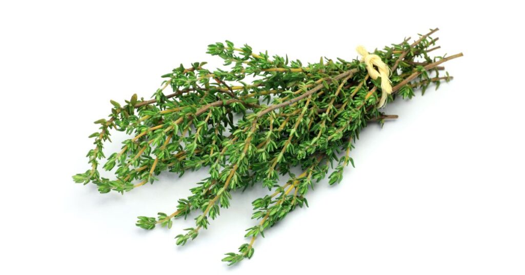 How Long Does Thyme Last In The Fridge