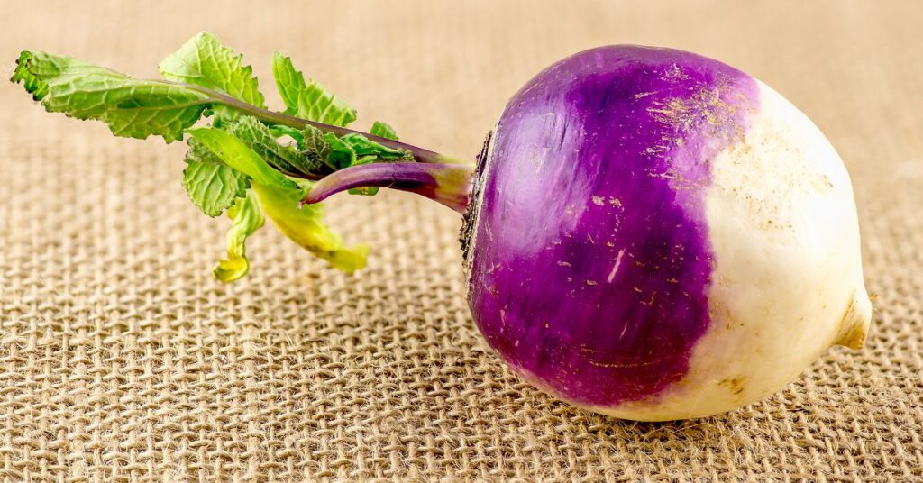 How Long Does Turnip Last In The Fridge