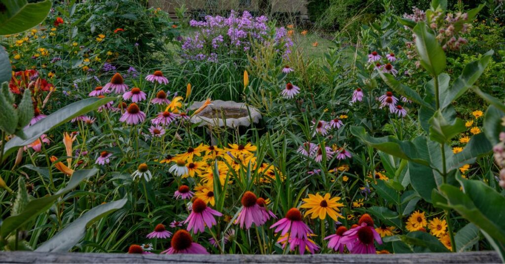 How Often Should You Water Perennials