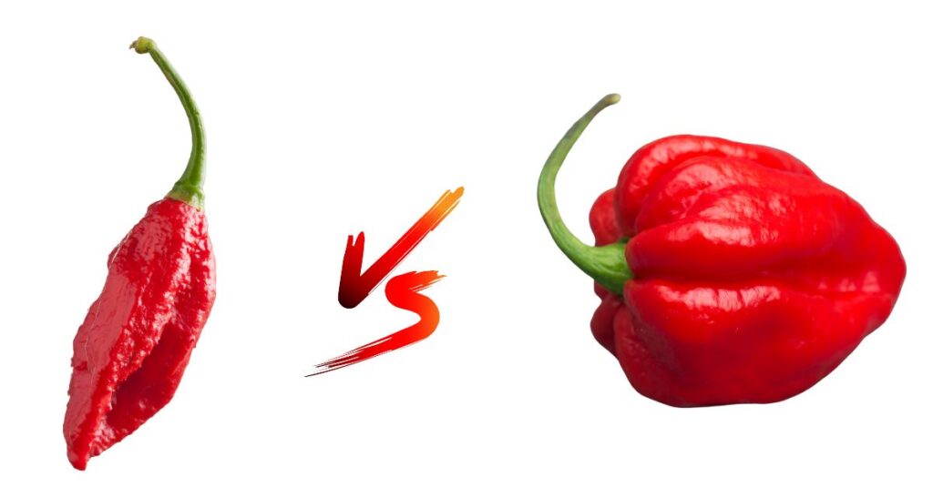 Is A Ghost Pepper Hotter Than A Carolina Reaper