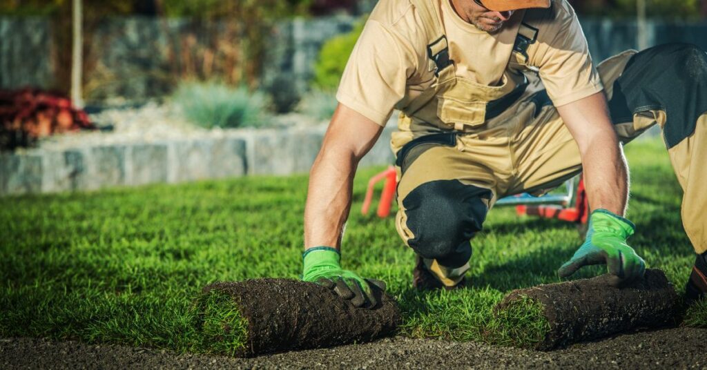 Landscaping Under Trees Where Grass Won't Grow