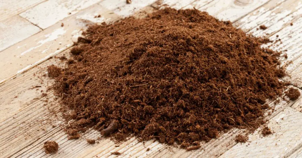 What Is Peat Moss Used For On Lawns
