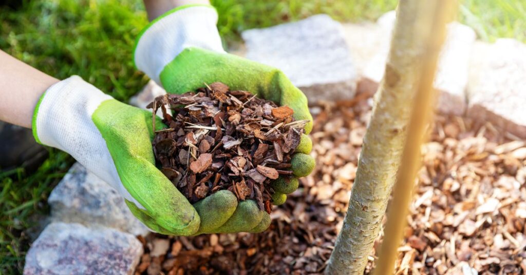 What Is Purpose Of Mulch