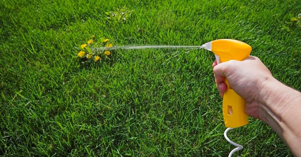 What Is The Green Weed Killer Landscapers Use