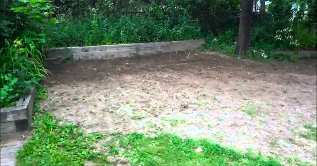 What To Do With Dirt Backyard