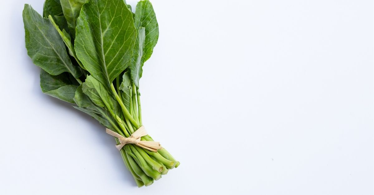 The Vivid House House, Good!