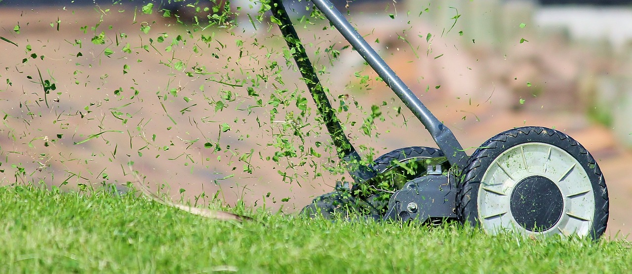 How Long To Mow After Fertilizing? Perfect Lawn